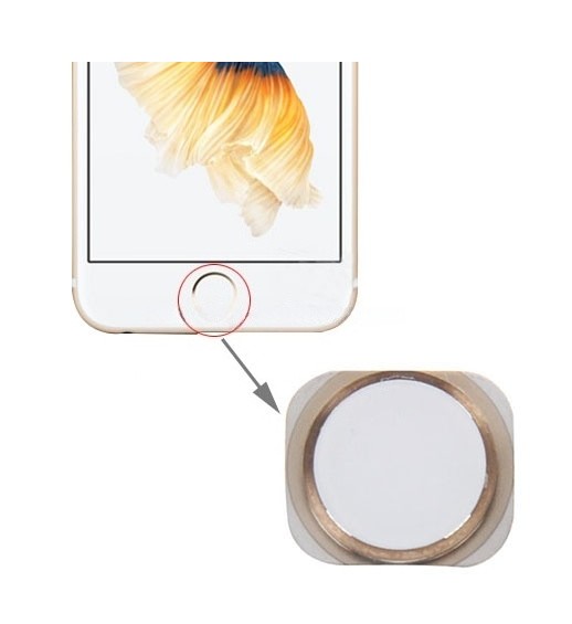 Home Button for iPhone 6s Plus(Gold)