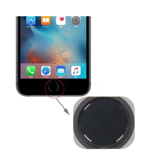 Home Button for iPhone 6s(Black)